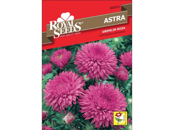 Astra Gremlin / roza